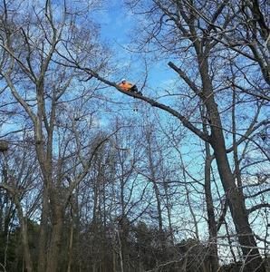 Meet your Posher, Thurman